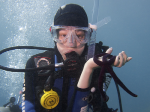 lahaina_diver_maui_hawaii_purple_starfish_scuba_dive_400