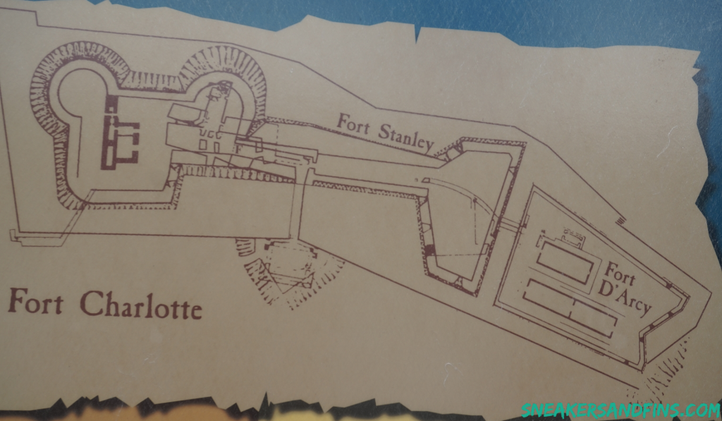 Fort Charlotte – Sneakers & Fins